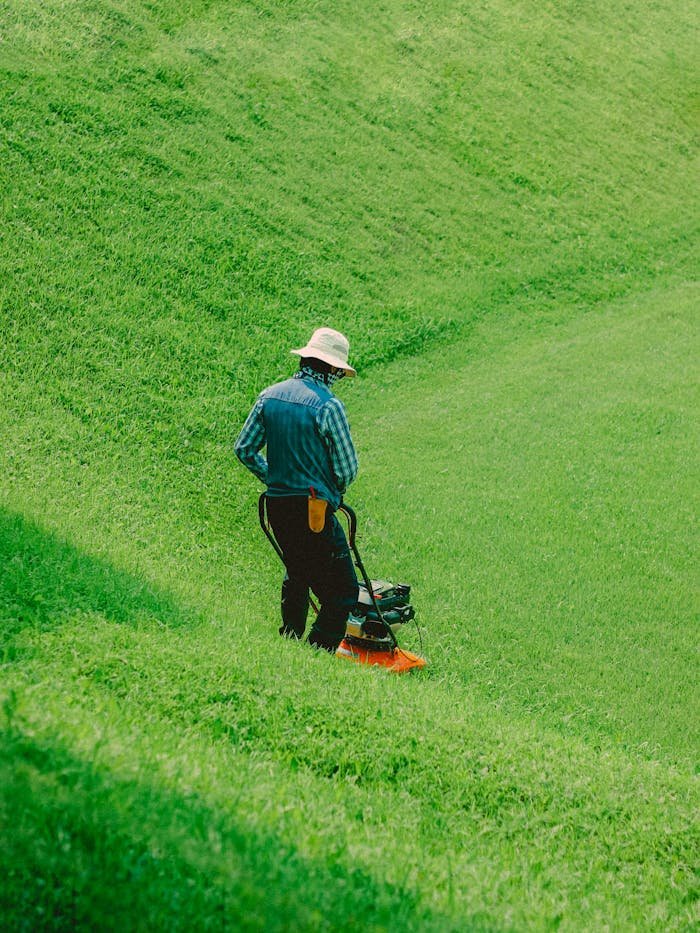 Back view of a man mowing grass on a sunny day with a vibrant green lawn.